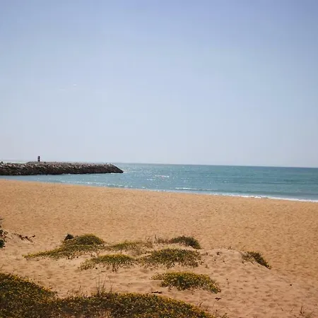منزل للإقامة Al Quinta Do Romao كوارتيرا